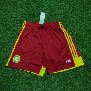 Soccer Shorts